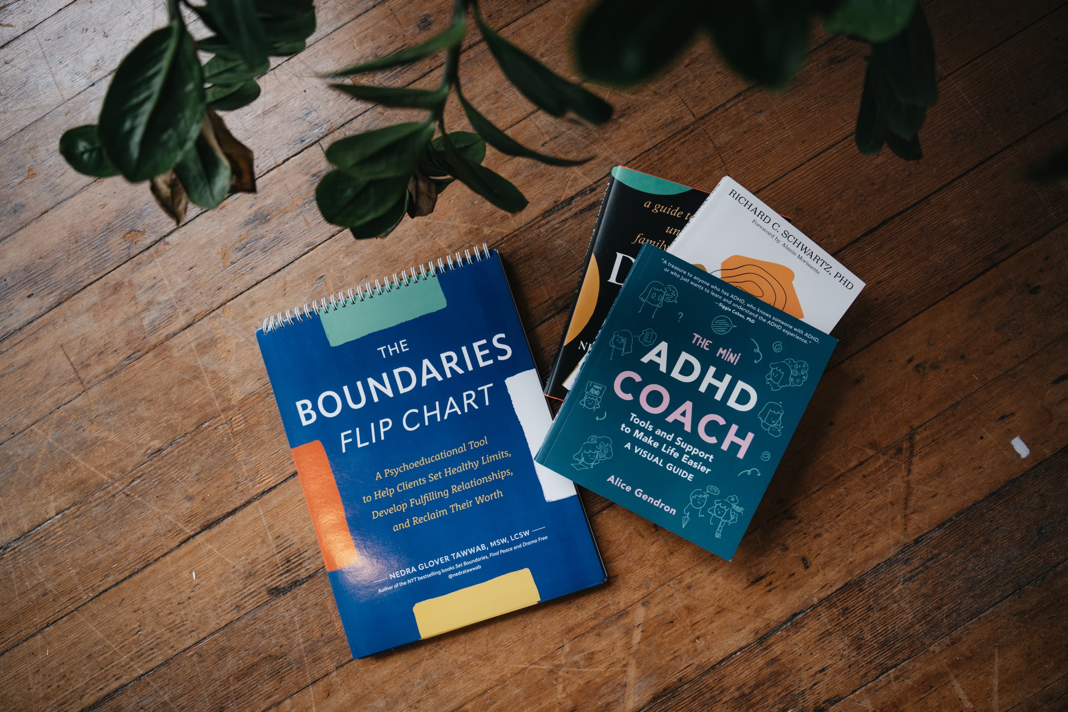 A calm, welcoming therapy space